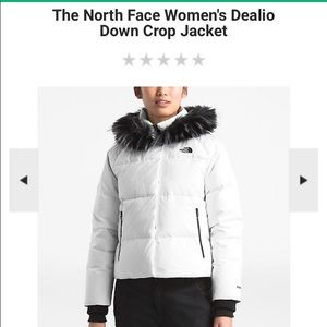 The North Face Dealio Down Jacket (Past Season)
